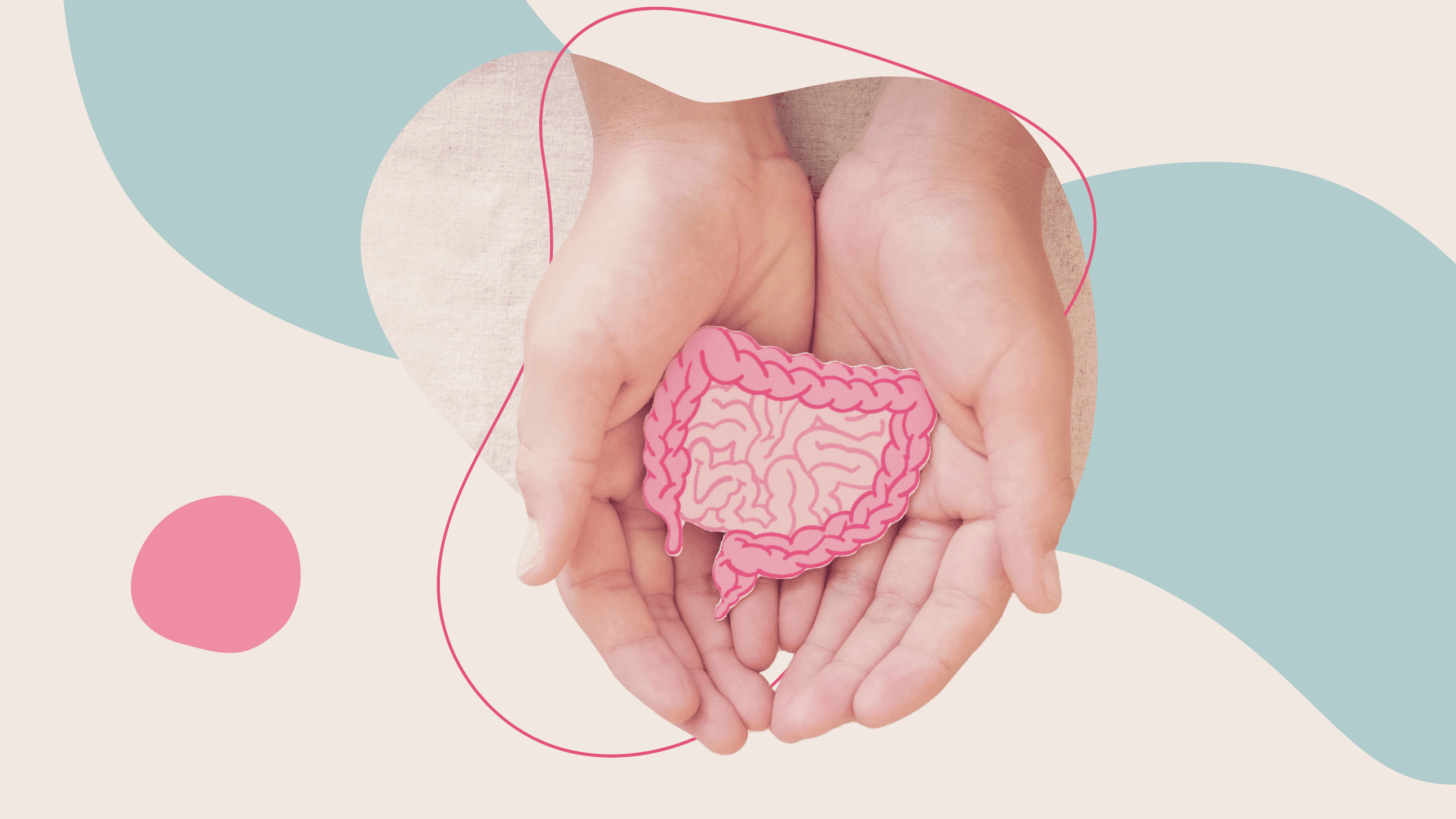 Darmgesundheit fördern – So bringst Du Deine Verdauung ins Gleichgewicht